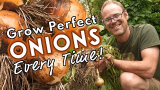 Grow Perfect Onions  Every Time [upl. by Assener908]