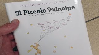 Audiolibro Integrale quotIl Piccolo Principequot [upl. by Imre]