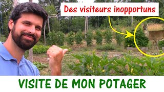 VISITE DU JARDIN POTAGER [upl. by Assilla]