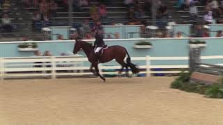 Video of FIG STREETS DUCHESS ridden by DANIEL GEITNER from ShowNet [upl. by Izak]