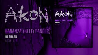 Akon  Bananza Belly Dancer  DJ Shaan Remix [upl. by Yenoh]