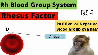 Rh Blood Group System  Rh Blood Grouping  Rhesus Blood Type  Rh system  Rhesus system  Hindi [upl. by Alleinad]