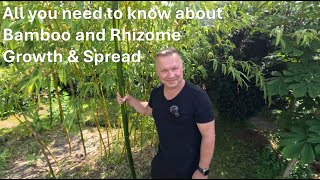 Bamboo amp Rhizome Growth Speed [upl. by Yrtsed361]