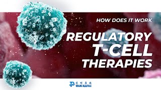 How Does It Work  Regulatory TCell Therapies [upl. by Nitsruk892]