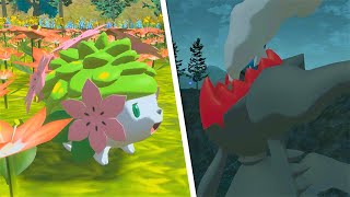 COMO CONSEGUIR A DARKRAI y SHAYMIN en POKEMON LEGENDS ARCEUS [upl. by Ysteb777]