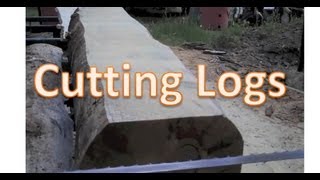 Cutting Log Into Flitch [upl. by Anemaj]