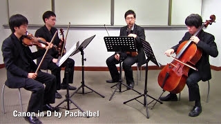 Canon in D by Pachelbel Vetta Quartet from Singapore [upl. by Alig]