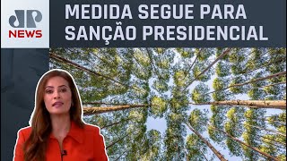 Projeto na Câmara pode trazer riscos ambientais ao Brasil Patrícia Costa analisa [upl. by Va]