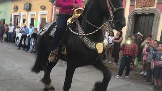 Frisones bailando en Talpa de Allende Jalisco [upl. by Wilscam129]