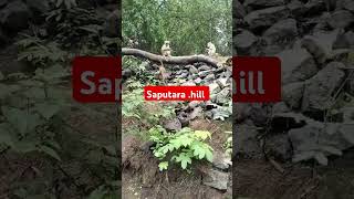 Saputara hill shorts travel [upl. by Vlad]