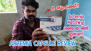 Artemia capsule malayalam  how to hatch artemia eggs 🔥 artemia [upl. by Yonita]