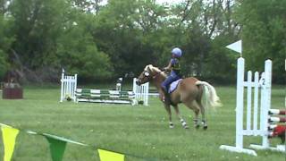 My worst fall ever Horse Bucking and Bolting [upl. by Anerys336]