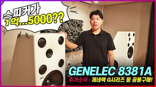 Genelec 8381A 1억 5000만원 상당의 초고가 하이엔드 스피커 [upl. by Corydon]