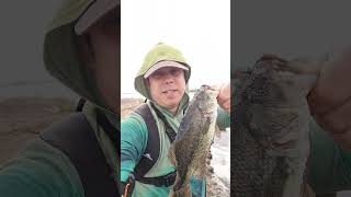 Bfs fishing is always fun year round bfs bass trout ultralight [upl. by Lederer]