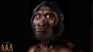 Homo Habilis Full Documentary [upl. by Hun]