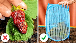 Astuces de jardinage innovantes pour les passionnés de jardinage [upl. by Nalor268]