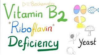 Vitamin B2 Riboflavin Deficiency [upl. by Zampino559]