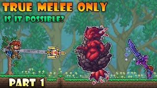 Can you finish Terraria Calamity True Melee challenge  Part 1 [upl. by Poole633]