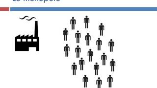 Comment les marchés imparfaits fonctionnentils [upl. by Pantheas412]