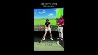 Basic Driver Swing Checkpoints [upl. by Eibrik]