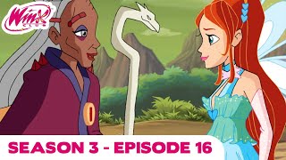 Winx Club  FULL EPISODE  From the Ashes  Season 3 Episode 16 [upl. by Shamma]