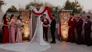 Officiating My Sisters Wedding Wedding Day Vlog [upl. by Gertie]