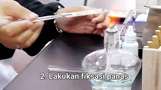 Tutorial Pewarnaan Bakteri Endospora Pewarnaan Mikrobiologi [upl. by Inger]