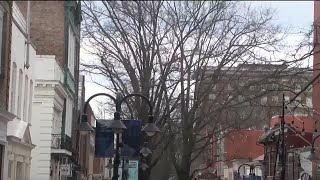 Downtown Mall tree maintenance to begin January 8 [upl. by Neda]