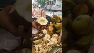 Palm Fruit Cutting  Bd Street Food Vlog l Taaler shash [upl. by Emogene]