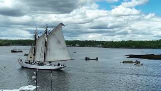 The schooner Bowdoins departure from Boothbay Harbor Maine on May 29 2024 [upl. by Jackquelin]