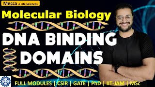 DNA Binding Domains  DNA binding Motifs  HTH  HLH  Homeodomain  dna transcription [upl. by Gaiser808]