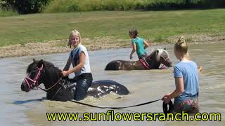 Waterpret met de Shet [upl. by Zischke]