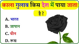 GK Question  GK In Hindi  GK Question and Answer  GK Quiz [upl. by Madelon705]