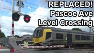 REPLACED Pascoe Ave Level Crossing  Kapiti Line [upl. by Ivie146]