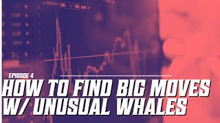 How To Find Big Moves Using Unusual Whales DAY TRADING [upl. by Ocnarf521]