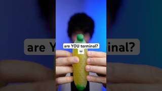 are YOU terminal 💀 asmr [upl. by Siraved675]