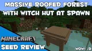 Roofed Forest amp Witch Hut At Spawn 17 Seed Spotlight [upl. by Jillian95]