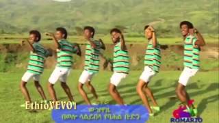 Birhanu Molla Shegawa New Ethiopian Traditional Music 2014 [upl. by Oruam839]