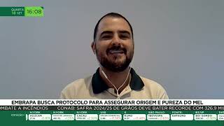 Embrapa busca protocolo para assegurar origem e pureza do mel [upl. by Aes43]