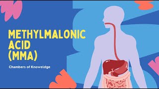 Methylmalonic Acid MMA Blood Test [upl. by Ssej133]