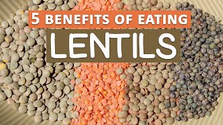 Top 5 Benefits of Eating Lentils [upl. by Anailuig]