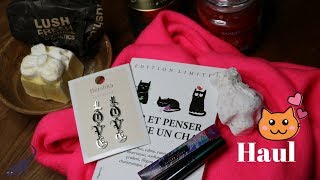 Le liner de fou  haul accessoires beauté novembre [upl. by Langdon]