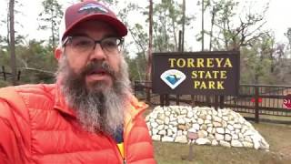 Torreya State Park Transformed by Hurricane Michael [upl. by Bonnice579]