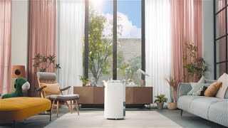 LG Dehumidifier helps manage moisture at home  LG [upl. by Afesoj221]