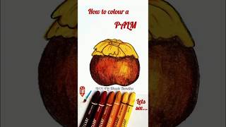 Palm Drawing  Easy palm drawTal Drawing  How to draw Palm step by step  তাল আঁকা শিখি সহজ নিয়মে [upl. by Corabel]