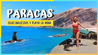 PARACAS Playa la mina 👙 e Islas Ballestas 🦭 EN 1 DIA 👍🏽  ICA PERÚ 2022 [upl. by Samy470]