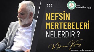 NEFS NEDİR  NEFSİN MERTEBELERİ NELERDİR [upl. by Kara-Lynn]