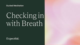 Checking in With the Breath [upl. by Hillary]