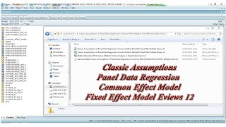 Classic Assumptions of Panel Data Regression Common Effect Model amp Fixed Effect Model Eviews 12 [upl. by Anita]