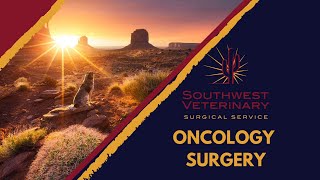 SVSS  Oncology Surgery [upl. by Asiled]